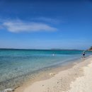 멍냥이꼬 이미지