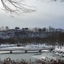 고향 - 서구 | 고향