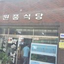 금성농약사 이미지
