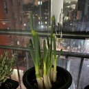 낙원떡방아간 이미지