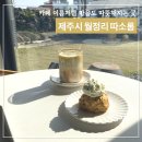 따소롬, 제주 월정리 카페로 추천해요!