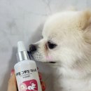 네추럴 그루밍 이미지