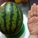 저금어지길 이미지