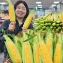 주식회사우성환경산업 이미지