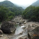 토월주유소 이미지