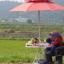 조은세상영농조합법인 이미지