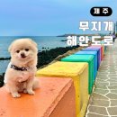 무지개카정비 | 제주 애견동반 여행 도두동 무지개해안도로 주차 도두봉 키세스존