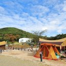 양주시 미술관 옆 캠핑장 이미지