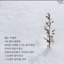 프로젝트36 이미지