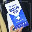 이불 좀벌레 트랩 제대로 잡은 후기
