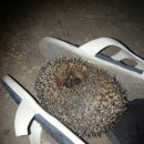 말미농장 이미지