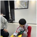 합기도 을지관 이미지