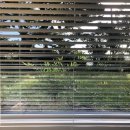 차] 오늘도 태웃개에서 바다수영_그저그랬던 위미모녀분식_제주도디저트맛집 팡송(pinson)카페_한라산...