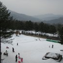 청태산휴양림 이미지