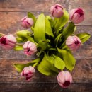 정확한행정사 이미지