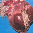 새김천약국 이미지