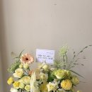 (주)에코송이