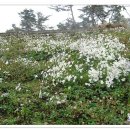 산외한우마을 이미지