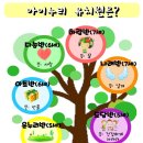 대구 아이누리 유치원 이미지