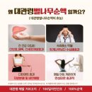 산드리약초 | 해발 700고지에서 자란 100% 자연산 벌나무즙 먹어본 후기