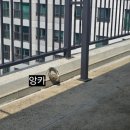 나루마을 | 세종실리콘코킹 작업후기 - 집현동 새나루마을 2단지 외벽크랙 보수