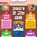 고양 우리아이 동물병원 이미지