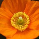 삼동소바 안양평촌점 이미지