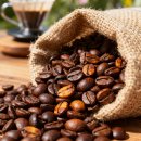 중배농장 | **파나마 파나마리아 카사루이즈 커피원두 – 커피 애호가의 최애 선택**