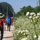 원주굽이길 9코스 스무산둘레길 이미지