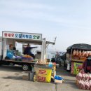 삼길포 선상어시장거리 이미지
