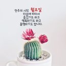 기분좋은하루 이미지
