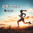디노짐 이미지