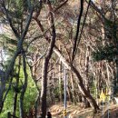 미륵산하우스 이미지