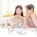 더무드(The Mood) 이미지