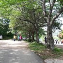 신라화원 이미지