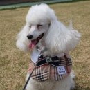 하이호텔 이미지