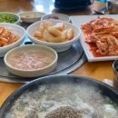 느릅나무순대국