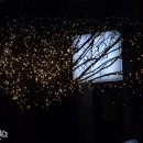 피다(Pida) 이미지