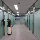 에이치에스일 | 에이치에스비즈 분당점 가봤더니 진짜 좋더라