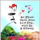 가평야구장 이미지