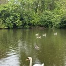 이정복 | 런던 여행 세인트제임스공원 카페 런던 여행코스 추천