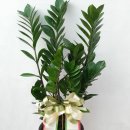 수원-0557 이미지