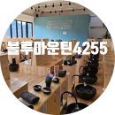 블루마운틴4255리조트 | [1월 제주여행 #12] 서귀포 족욕체험카페 블루마운틴4255 비추 후기