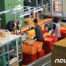 제주감귤농업협동조합 농산물산지유통센터(1유통) 이미지