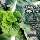 PICTURE&amp;TEXT_20241201_사람으로 오셔서 기쁘신 예수님_요한일서 4장 2절_대림절 첫 번째 주일 묵상_사람으로 땅에 오셔 이미지