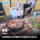캠핑 애견놀이터 poljjac | 김포 애견동반식당 캠픽 | 도심 속 대형 텐트 캠핑 바베큐 놀이방 글램핑 맛집 솔직후기