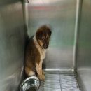 금곡만정길 이미지