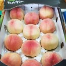 참새골농원 이미지