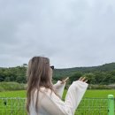 댕댕랜드 이미지