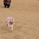 카페 꼬미꼬미 이미지